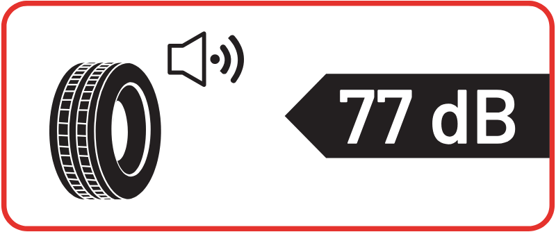 Ruido 77
